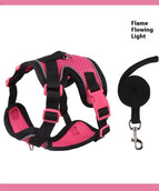 Light Red Permeating Rose