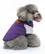 DZ257 Purple 2pc Set