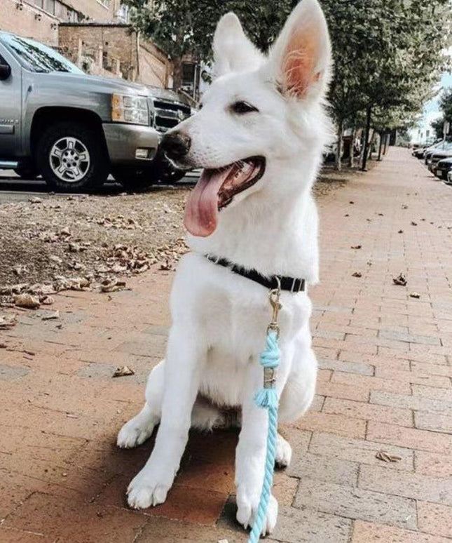 Dog Rope Leash - Watermelon Red-3