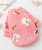 Cartoon Candy Rabbit