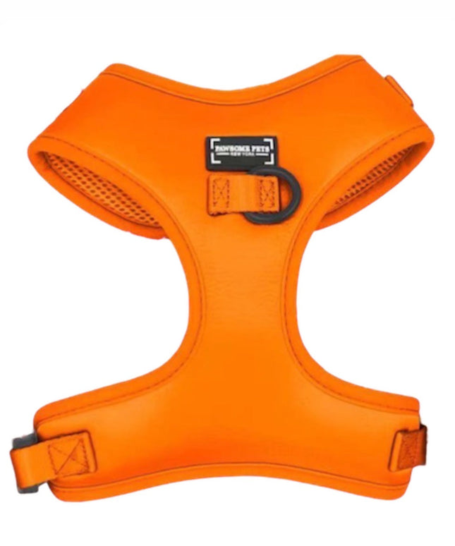 BUNDLE - SILK ORANGE-1