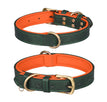 Double D Ring Green Orange / XS