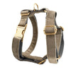 Dog vest3 / XS