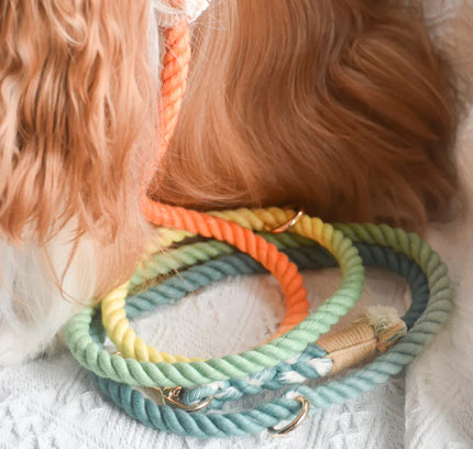 HANDS FREE DOG ROPE LEASH - FOREST SHADE-1