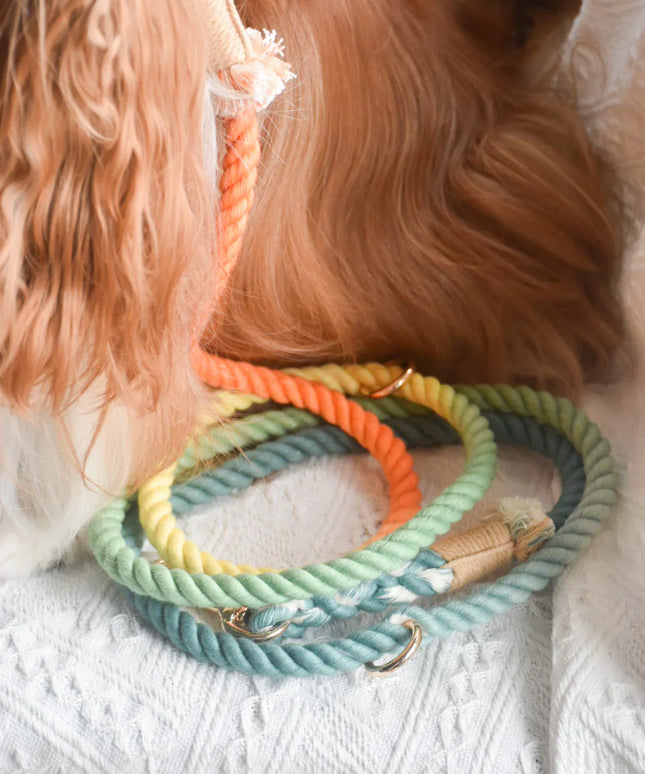 HANDS FREE DOG ROPE LEASH - FOREST SHADE-1