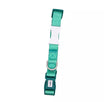 Collar Light Green / S