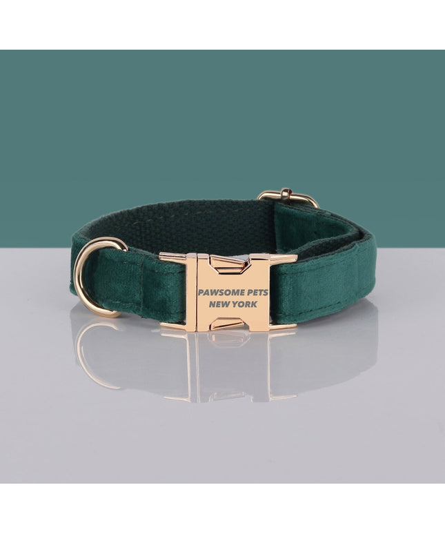 PAWSOME DOG COLLAR - #25-0