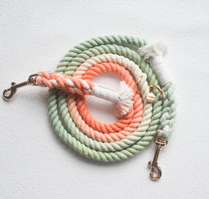 HANDS FREE DOG ROPE LEASH - BUBBLE SODA-0