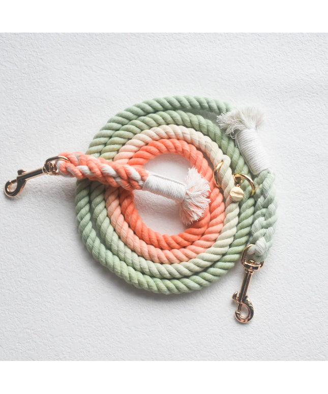 HANDS FREE DOG ROPE LEASH - BUBBLE SODA-0