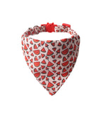 Watermelon Triangular Binder