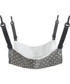 Gray Star Autumn And Winter