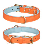 Double D Ring Orange Blue