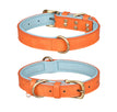 Double D Ring Orange Blue / XS