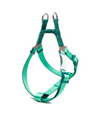 Chest Strap Light Green
