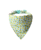 Lemon Triangular Binder
