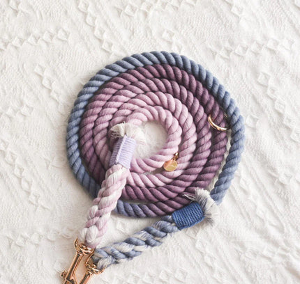 ROPE LEASH - BEAUTIFUL VIOLET-2