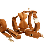 Ancient pottery color