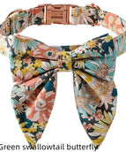 Green swallowtail butterfly