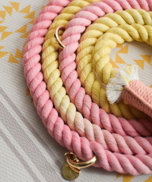 HANDS FREE DOG ROPE LEASH - OH MY MARSHMALLOW-3