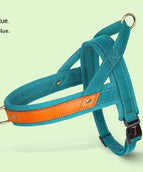 Peacock Blue Single Chest Back