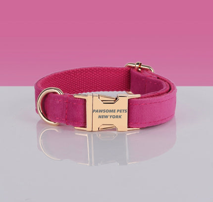 PAWSOME DOG COLLAR - #26-0