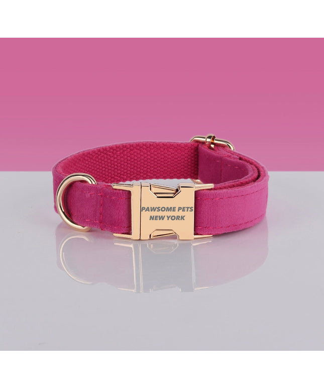 PAWSOME DOG COLLAR - #26-0