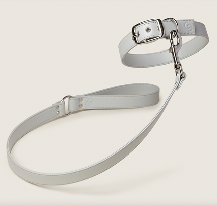 Ice blue vegan apple leather dog collar-1