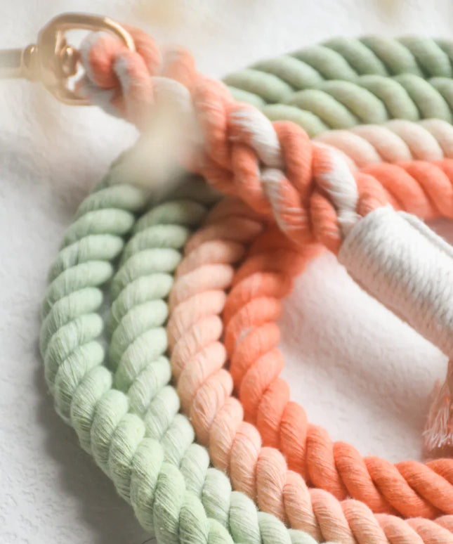 HANDS FREE DOG ROPE LEASH - BUBBLE SODA-2