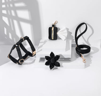 STEP IN FLORAL BUNDLE - BLACK (4 pieces)-0