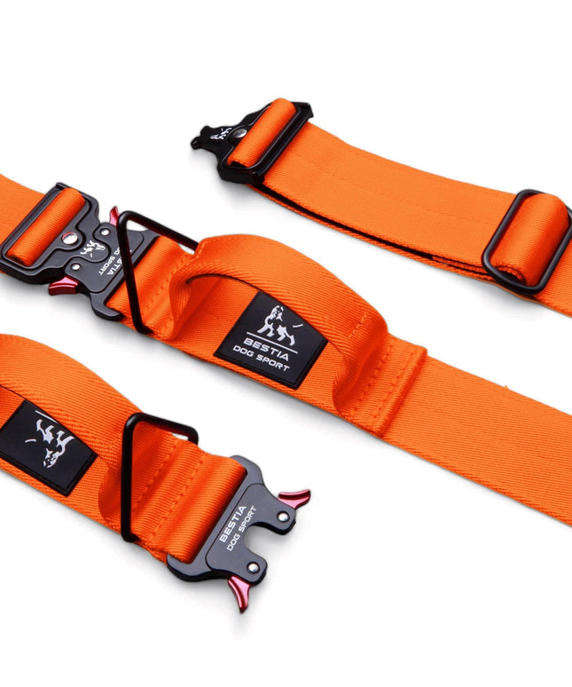 Bestia Dog Sport GripPro Handle Collar-4