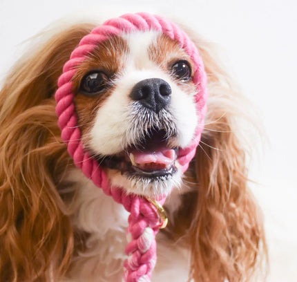 ROPE LEASH - HOT PINK-1