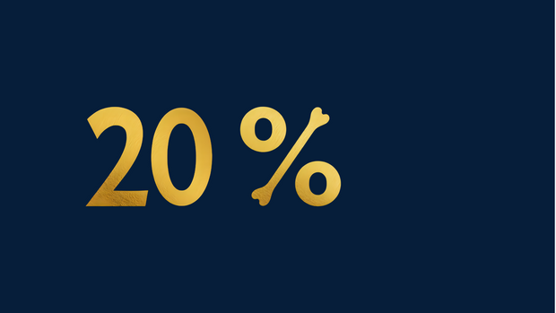 <h2><strong>Large selection at 20% off</strong></h2><h4>Promotion until 31.12</h4>