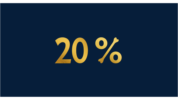 <h2><strong>Large selection at 20% off</strong></h2><h4>Promotion until 31.12</h4>