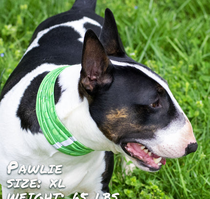 Drops of LIME Pup Scruff-2