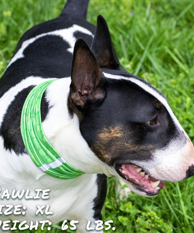 Drops of LIME Pup Scruff-2