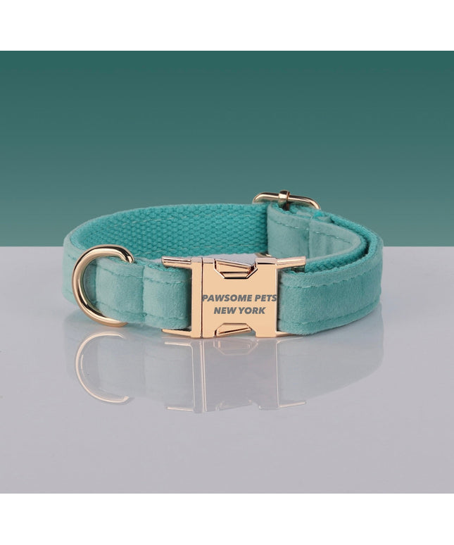 PAWSOME DOG COLLAR - #21-0