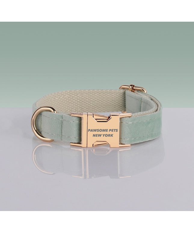 PAWSOME DOG COLLAR - #30-0