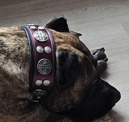 The "Hektor" Burgundy Collar LIMITED-3