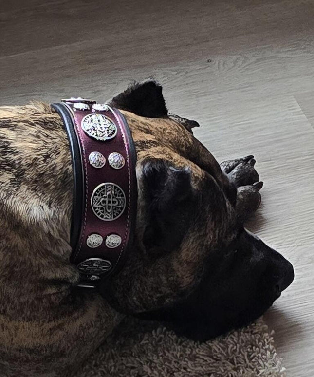 The "Hektor" Burgundy Collar LIMITED-3