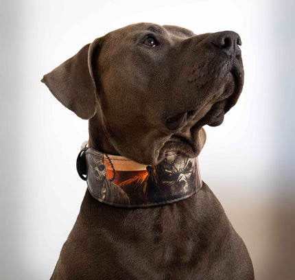 The Scare Collar Limited-4