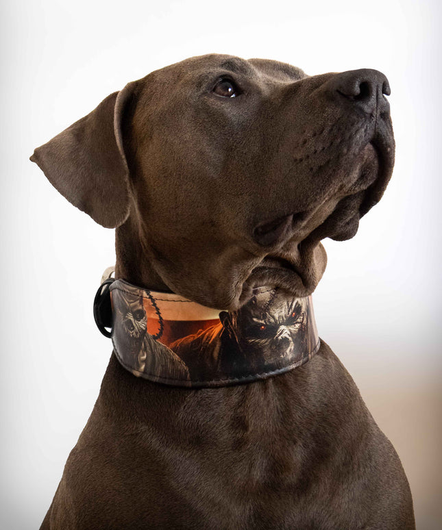 The Scare Collar Limited-4