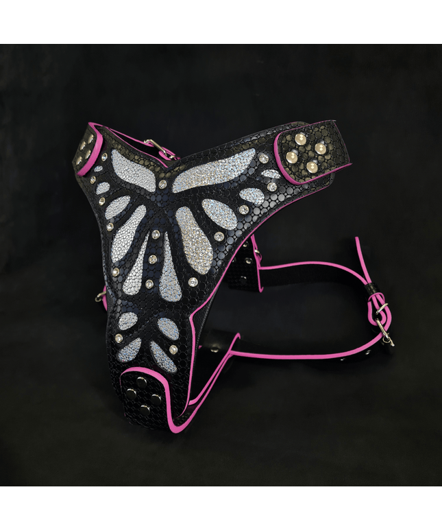 The ''Ariel'' harness