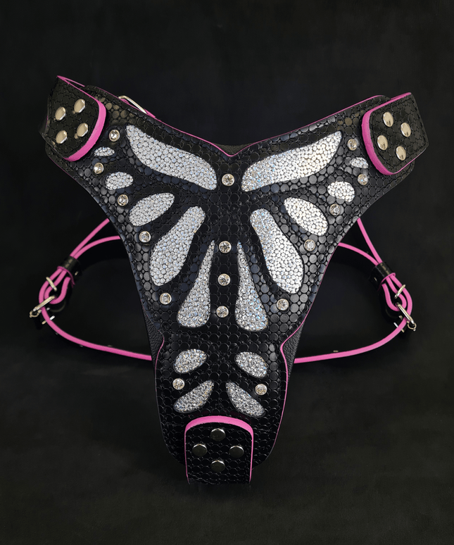 The ''Ariel'' harness