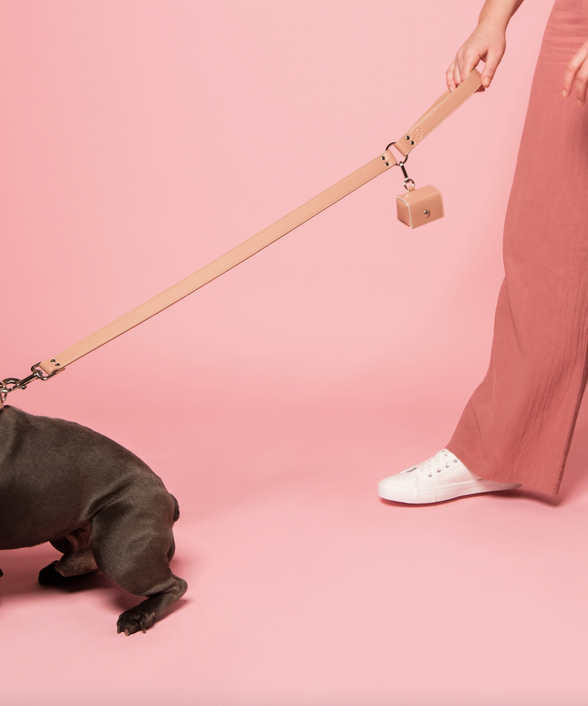 Blush pink apple leather lead-3