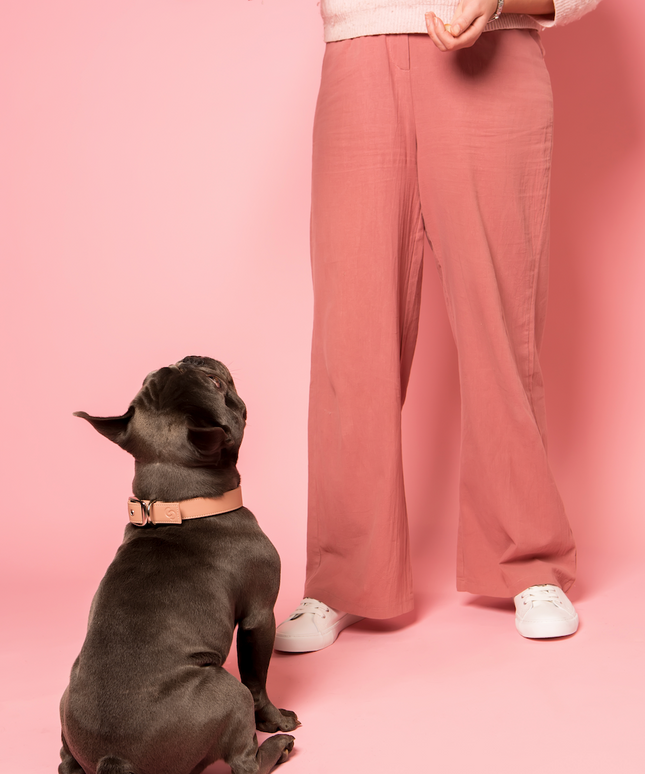 Blush pink vegan apple leather dog collar-2
