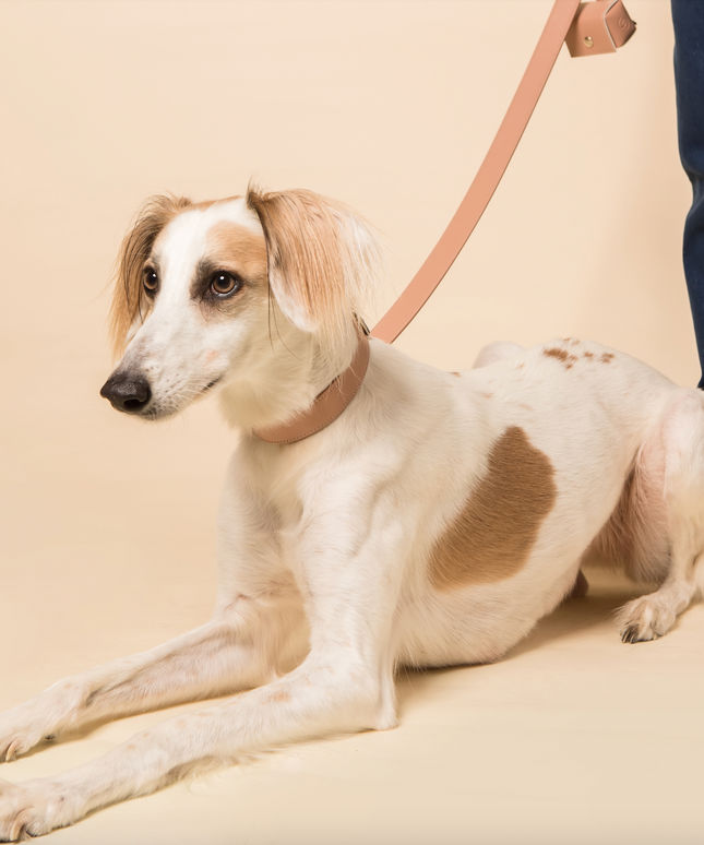 Blush Pink Skylos Set-1