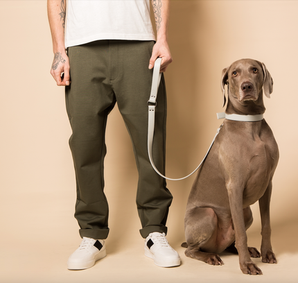 Ice blue vegan apple leather dog collar-3