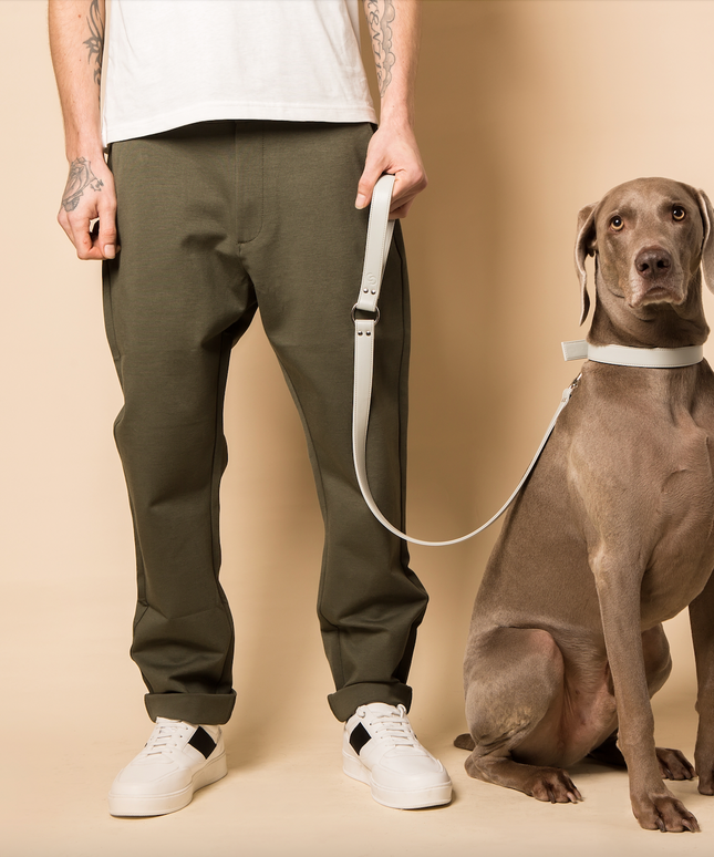 Ice blue vegan apple leather dog collar-3