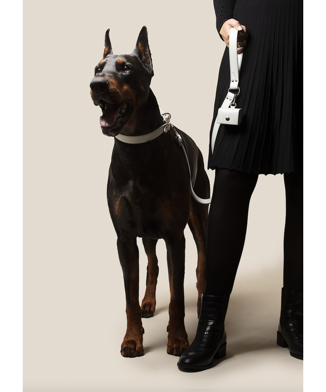 Ice Blue Skylos Set-0