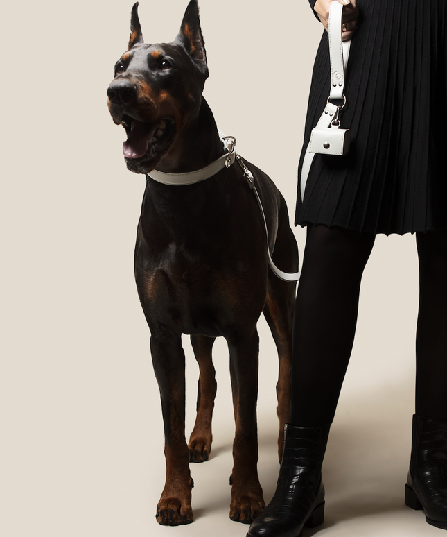 Ice blue apple leather lead-1